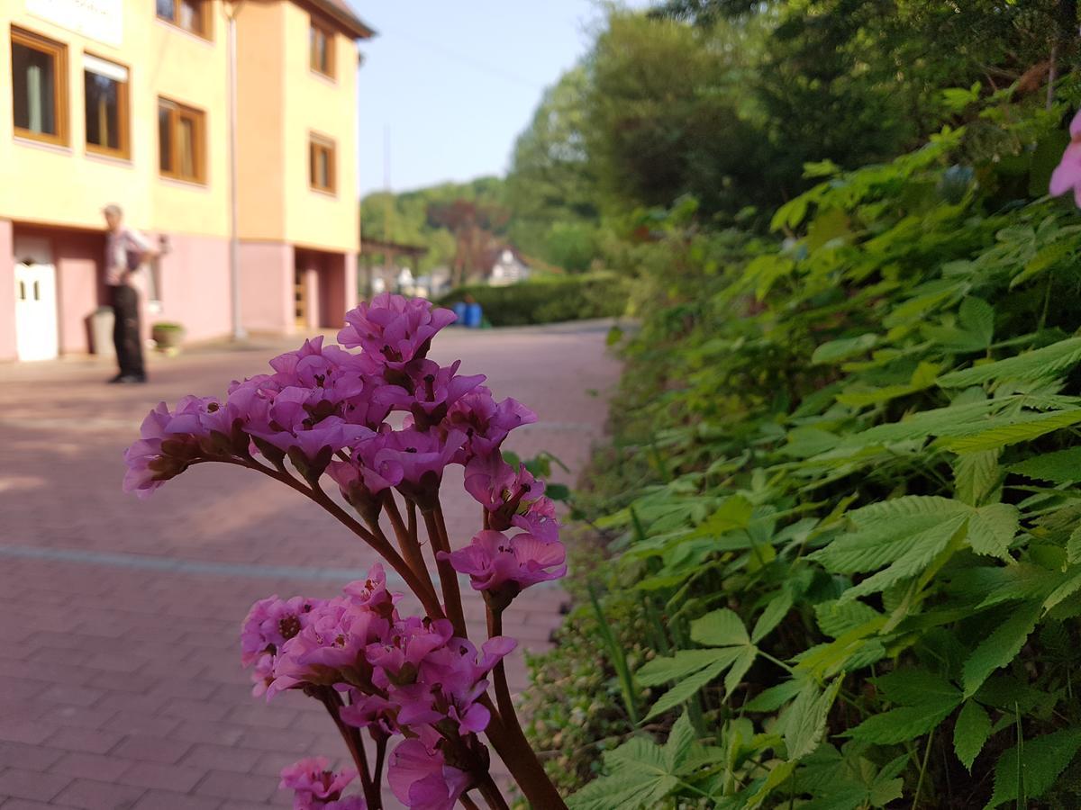 Hotel Zur Engelsburg Hausen-Wied Exterior foto